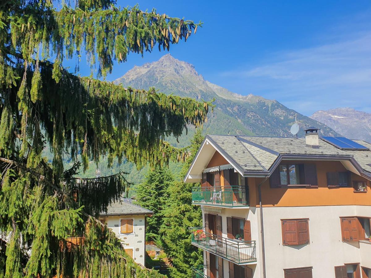 Hotel Fior Di Monte Caspoggio Exterior foto